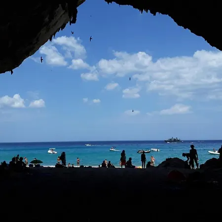 Appartement Inter House *